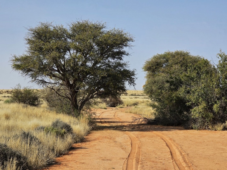 Commercial Property for Sale in Kenhardt Northern Cape